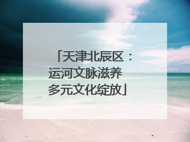 天津北辰区：运河文脉滋养 多元文化绽放